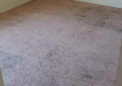 Empty room with beige carpet and walls.