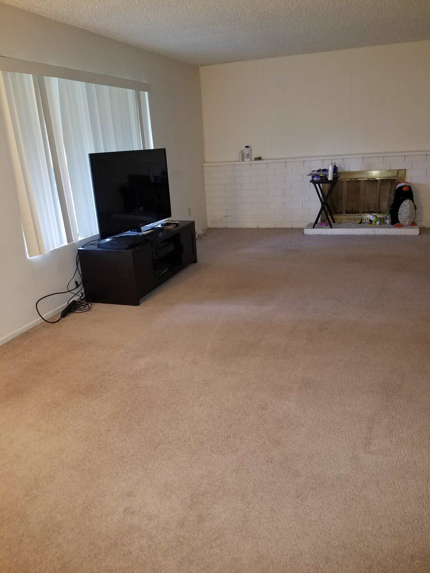 Living room with TV and fireplace