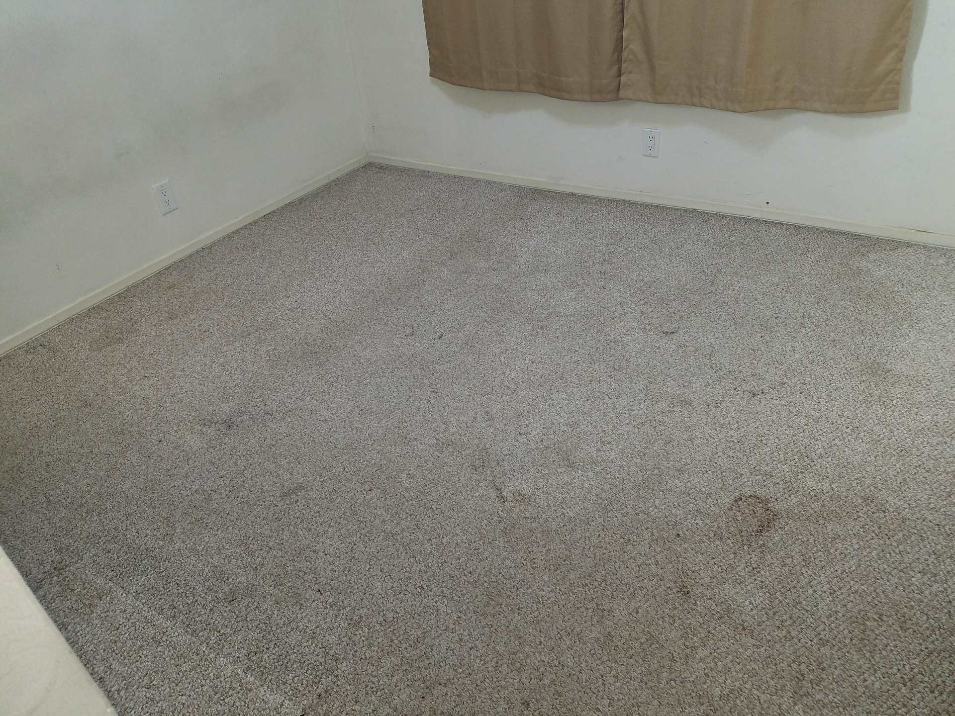 Empty room with worn carpeting and curtains.