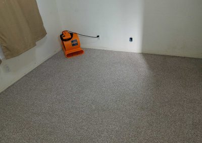 Room with carpet and orange air mover fan.