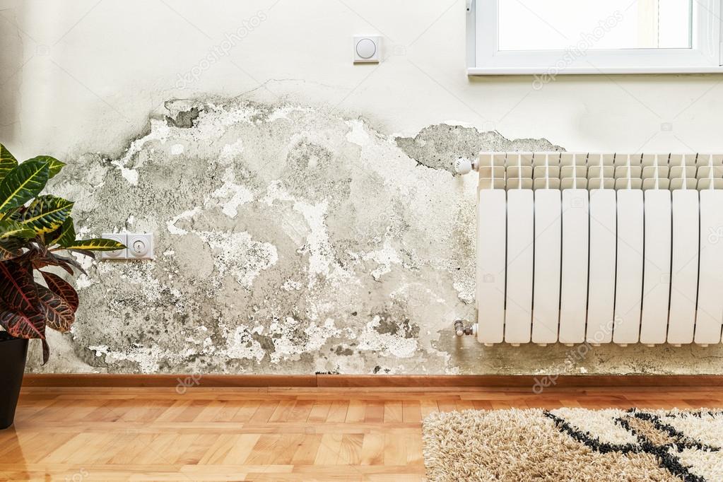 Moldy wall with radiator inside home