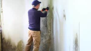 Why Mold Remediation Should Be Part of Your Water Damage Restoration Plan