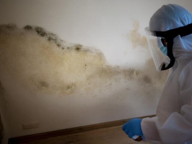 Wall Water Damage: 6 Effects and Signs of Water Damage on Walls Due to Rain Exposure