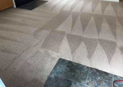 Clean carpet with geometric vacuum lines.