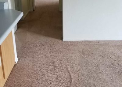Hallway with beige carpet and open door