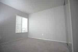 carpet cleaning near me