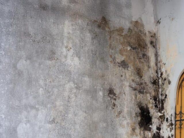 Hidden Water Damage in Walls: What You Need to Know