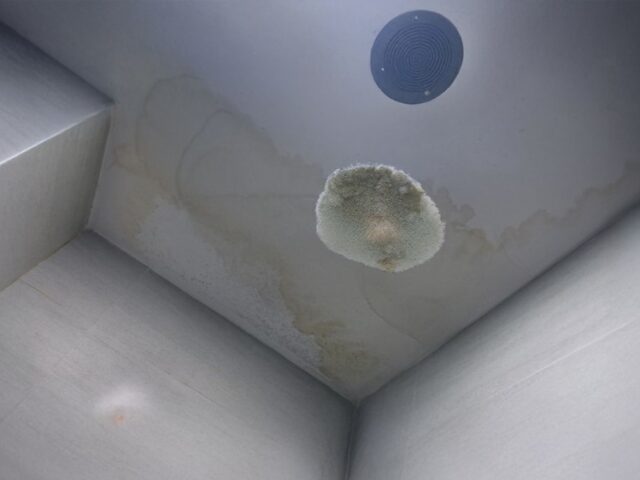 Water Leaking from the Ceiling? Here’s What to Do and Who to Call