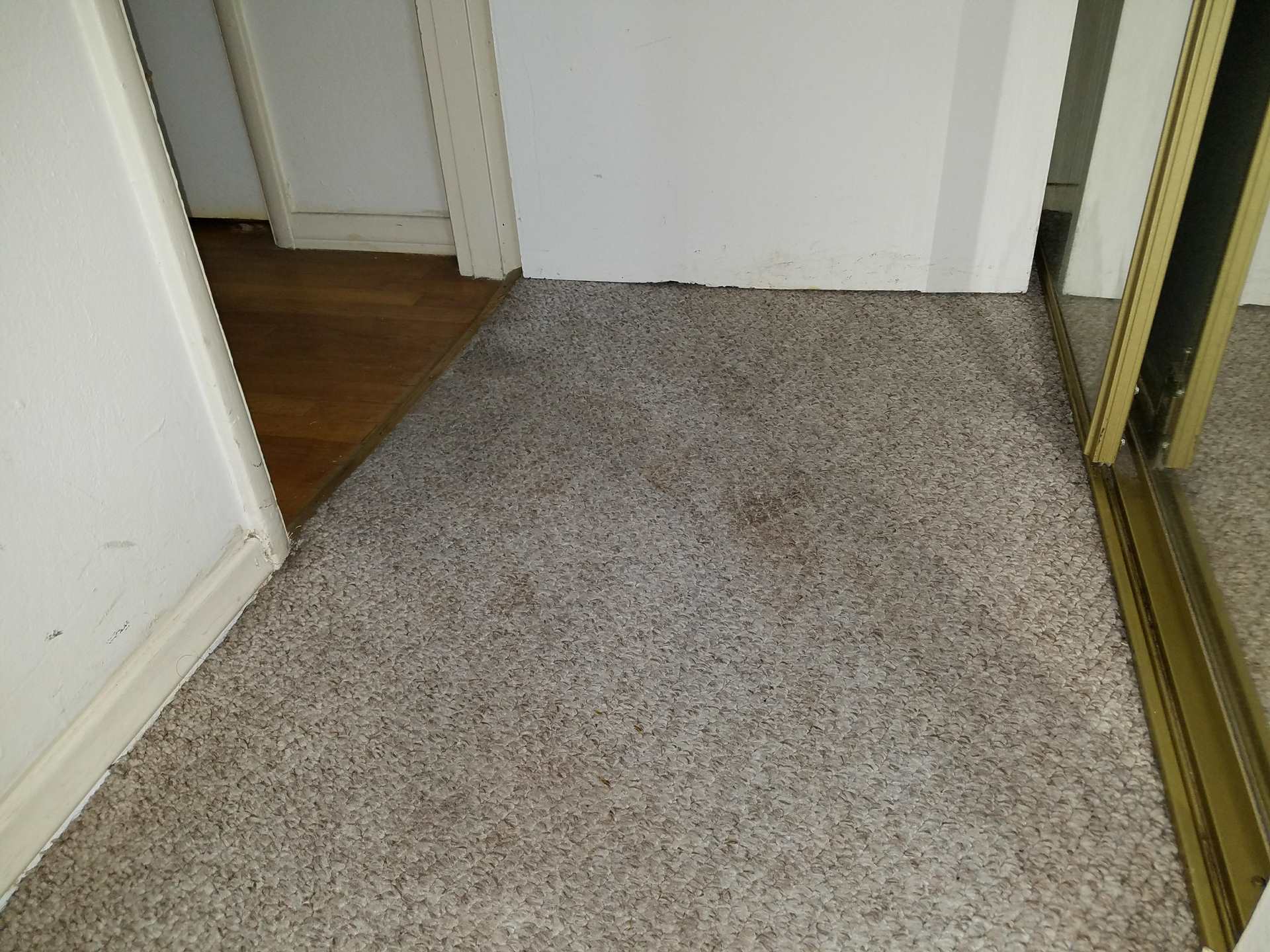 Restoration, Carpet & Tile Cleaning In Yuma, AZ Semper Fi