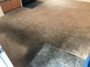 Dirty carpet near tiled floor corner
