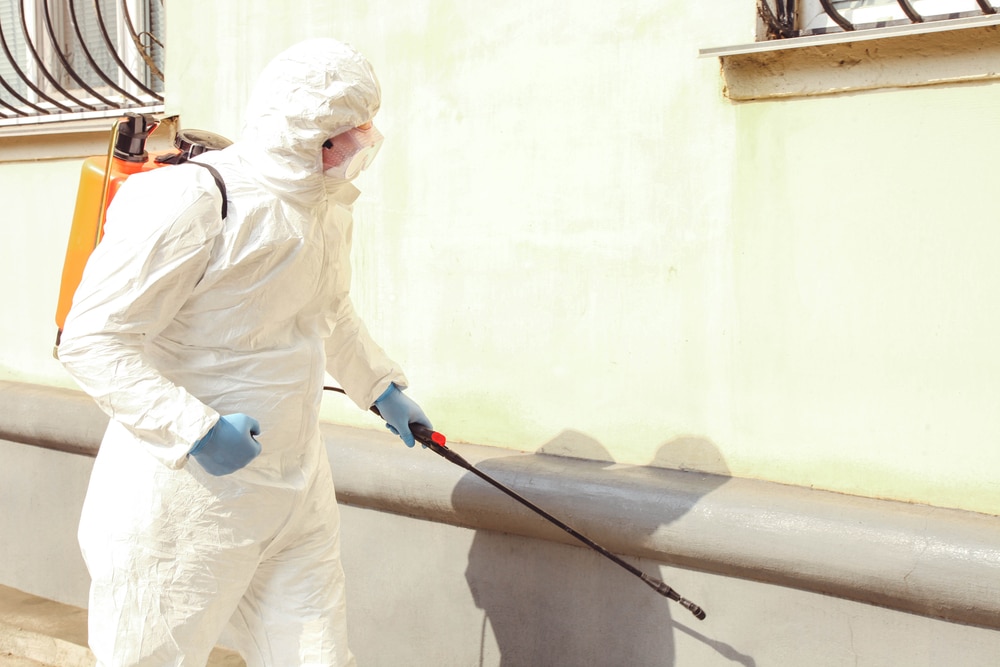 Mold Remediation Fort Lauderdale