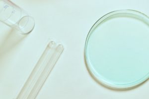 Prevent large damages with mold testing from Semper Fi Yuma