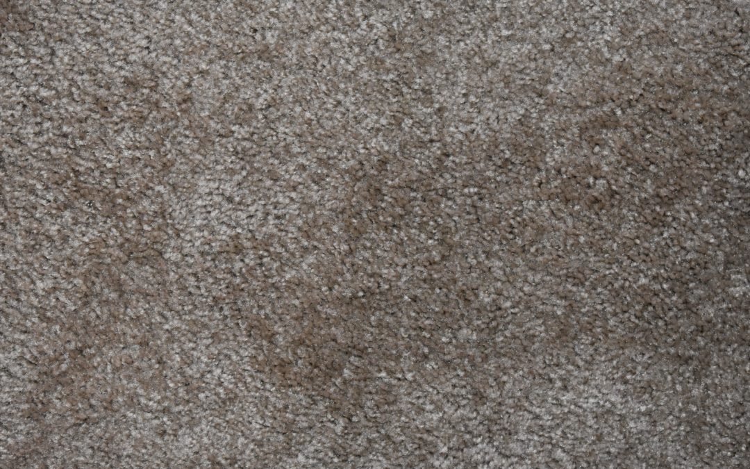 5 Reasons to Stop Avoiding Carpet Cleaning