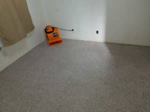 damage restoration services