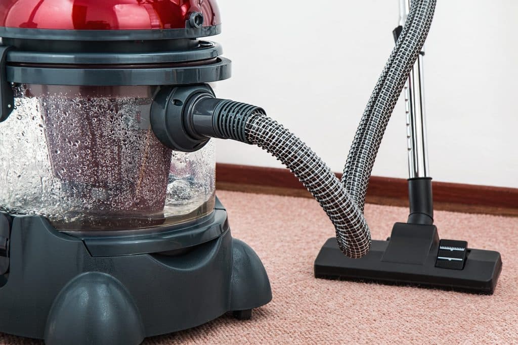 How Often Should Your Carpets Be Professionally Cleaned?