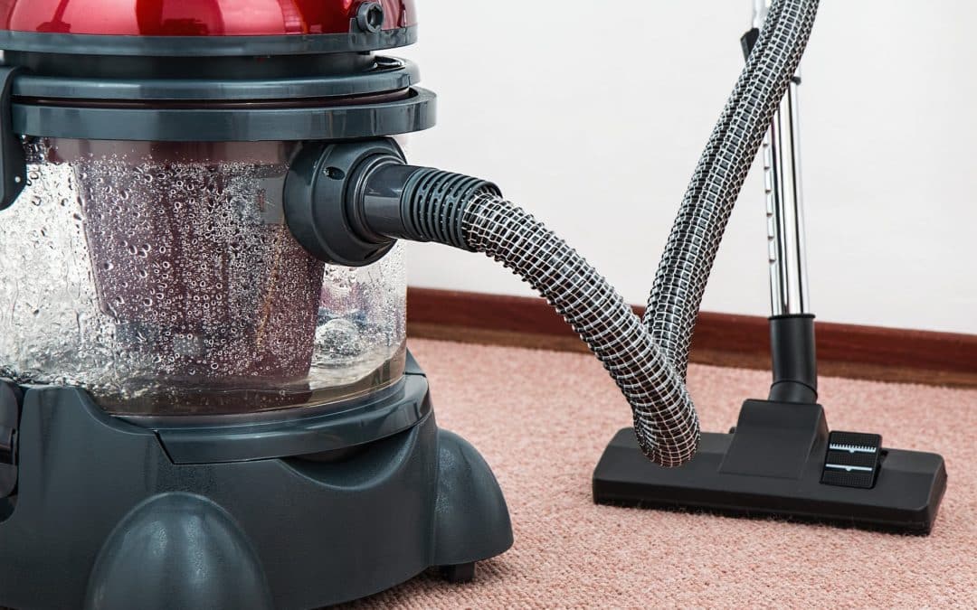 How Often Should Your Carpets Be Professionally Cleaned?