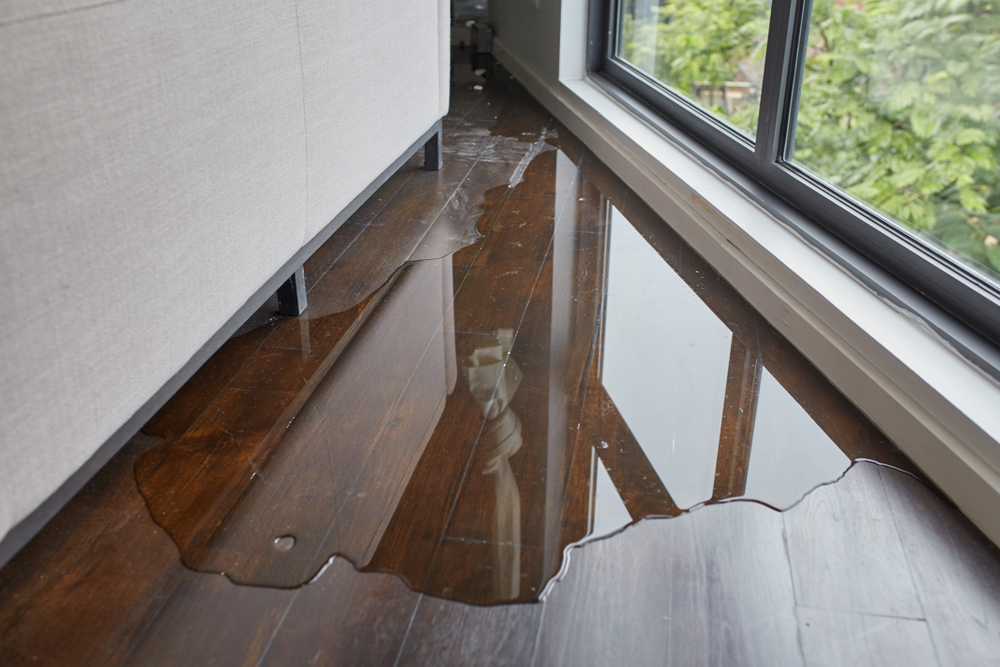 Water damaged floor services