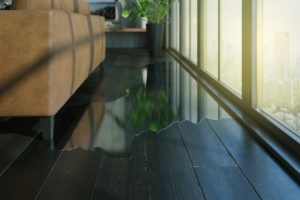 Water damaged floor services