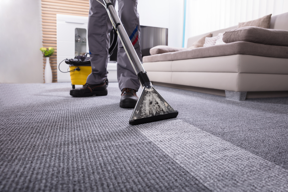 Low Section Of A Person Cleaning The Carpet With Vacuum Cleaner In Living Room