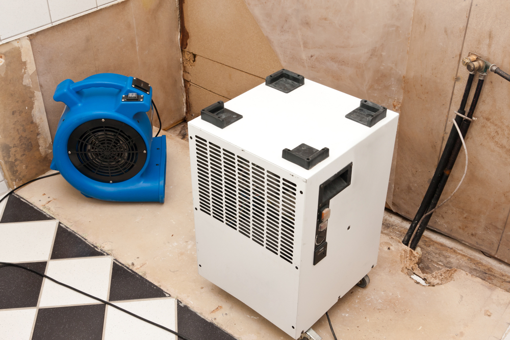 Removing water damage with a fan and dryer

