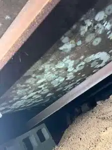 Mold growth in the roof of a basement.