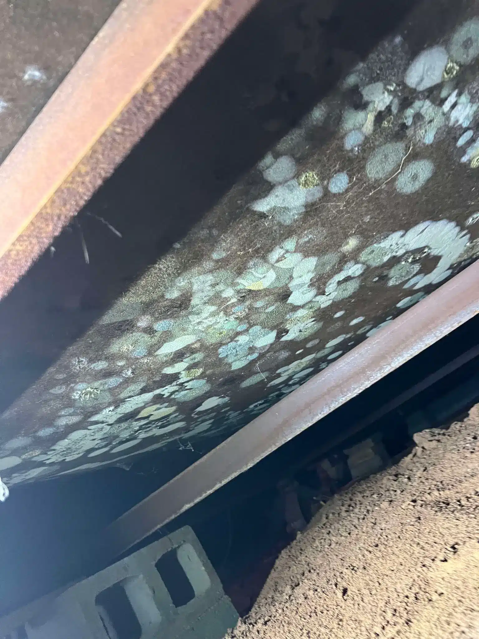 Finding the Right Water Damage Restoration Company for Trust and Reliability