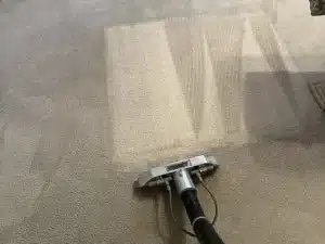 Carpet deep-cleaning.