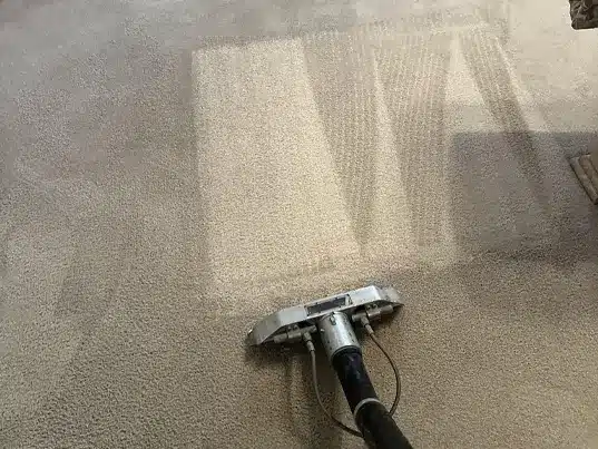 Carpet deep-cleaning.