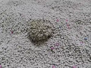 cat pee clumps on carpet