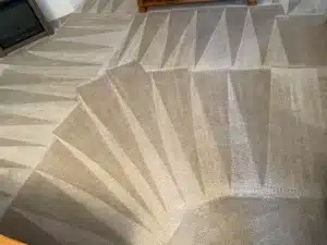 Carpet after being cleaned by Semper Fi