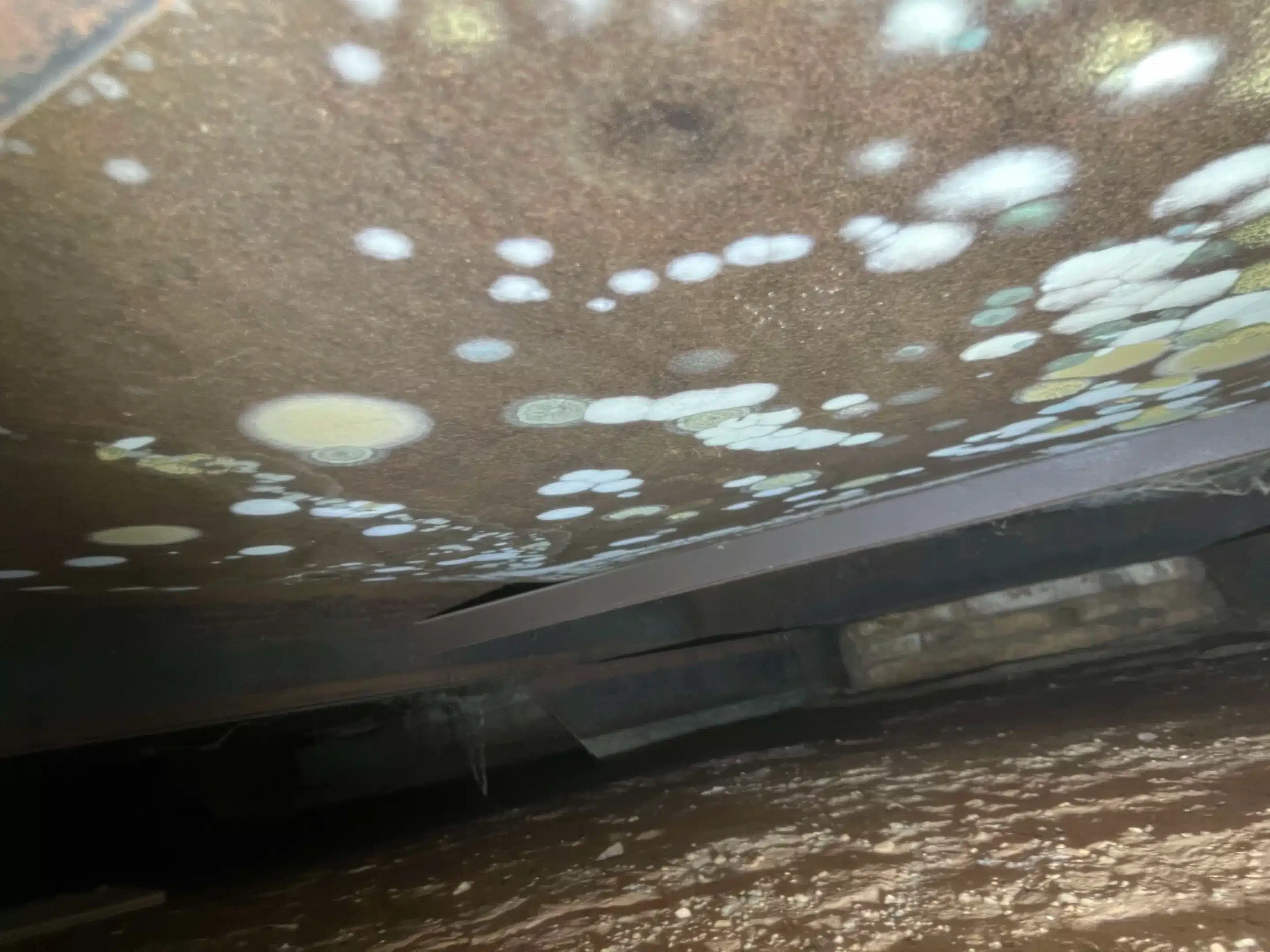 How to Spot Mold in Hard-to-Reach Areas of Your Home