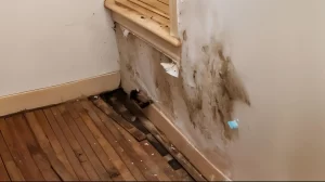 signs of water damage in walls