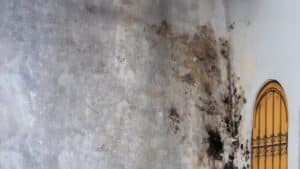 Hidden Water Damage in Walls