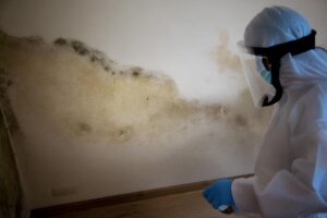 Wall Water Damage 6 Effects and Signs of Water Damage on Walls Due to Rain Exposure