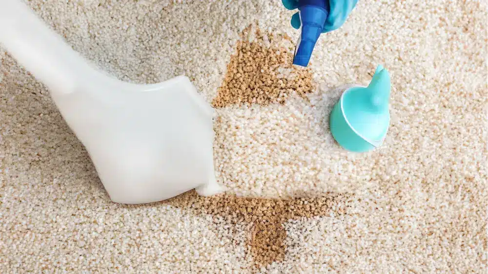 Cleaning carpet stain with detergent and brush
