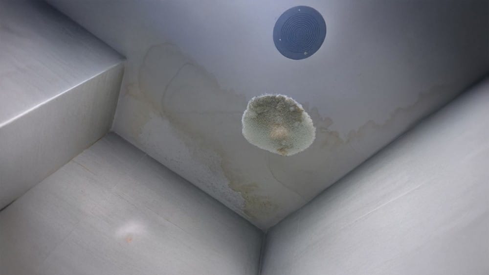 Water Leaking from the Ceiling- What to do and who to call