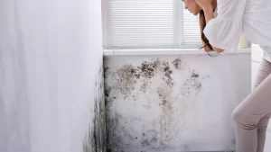 Mold in Yuma Homes – What You Need to Know