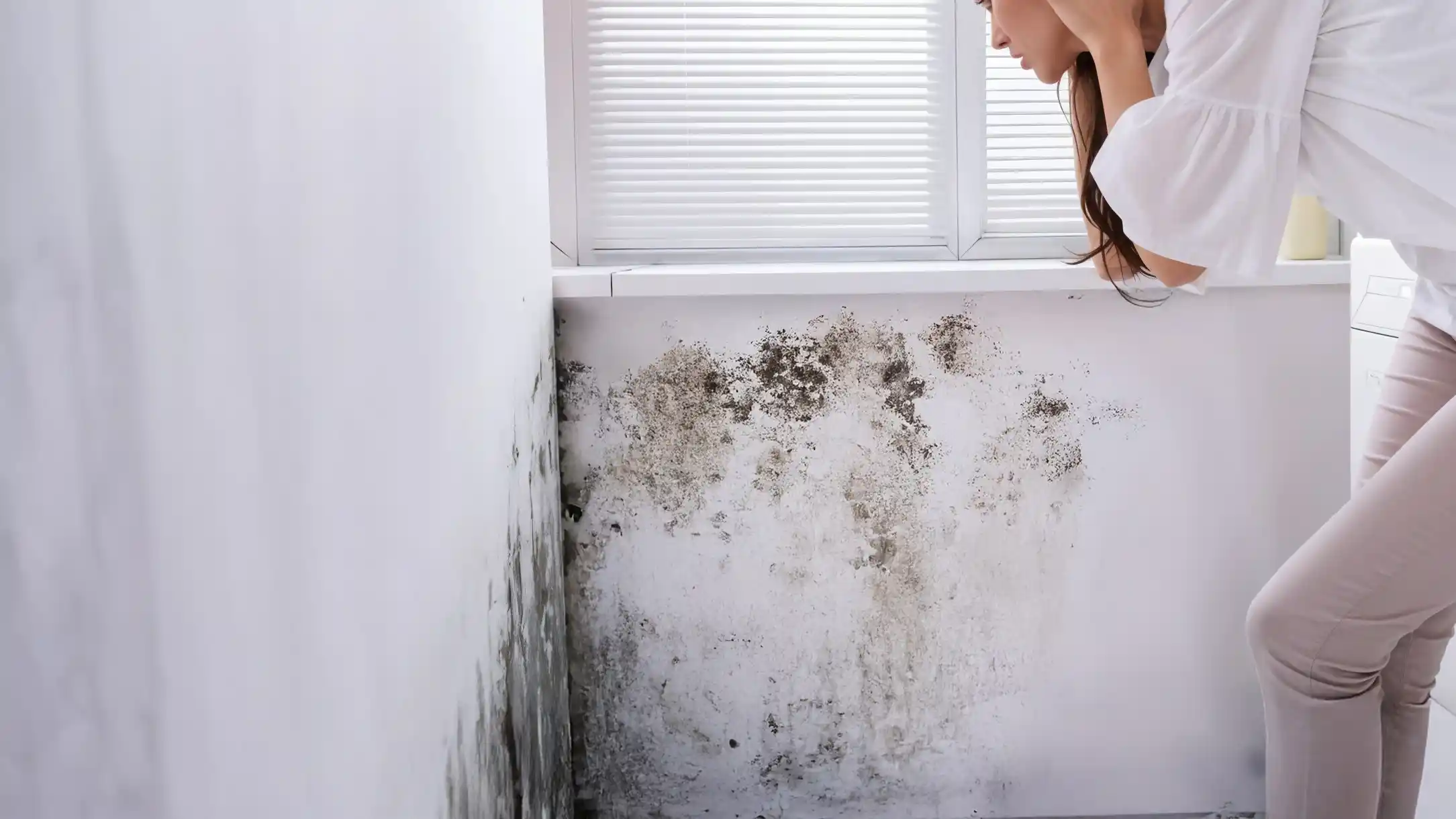Mold in Yuma Homes – What You Need to Know