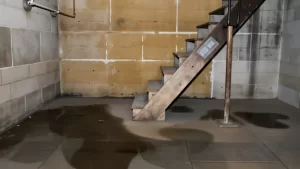 How Much Water in a Basement Is Too Much Signs of Serious Damage