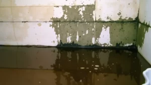 How to Fix a Basement Leak After Heavy Rain Step-by-Step Guide