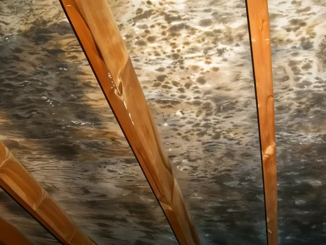How to Safely Remove Mold in Your Attic: A Step-by-Step Guide