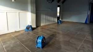 Understanding Water Damage Restoration