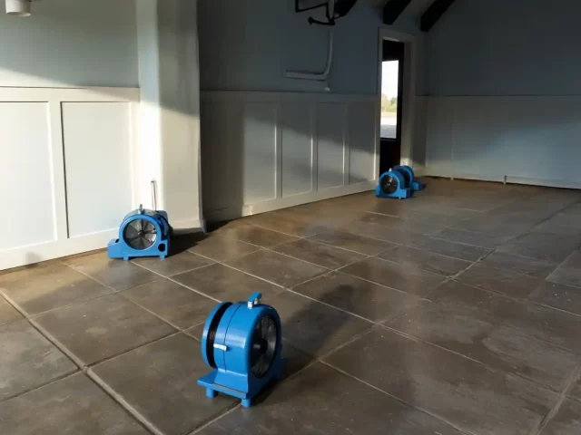 Understanding Water Damage Restoration: Everything You Need to Know