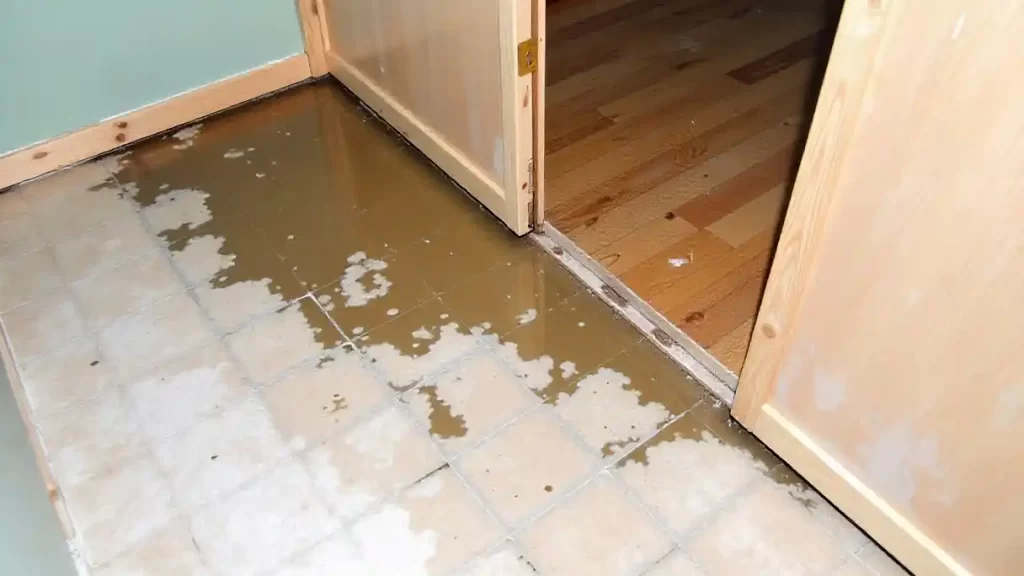 how to prevent sewage backup in house