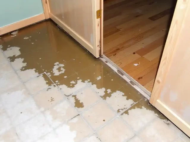 How to Prevent Sewage Backup in Your House