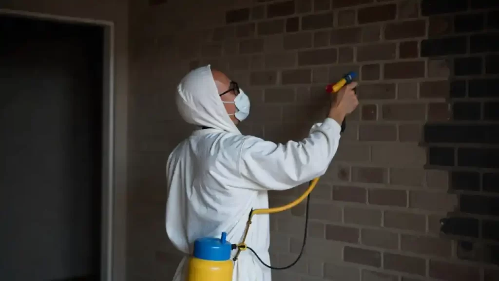 How smoke damage restoration works