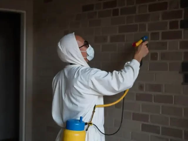 How Smoke Damage Restoration Works: A Step-by-Step Guide by SemperFi Restoration