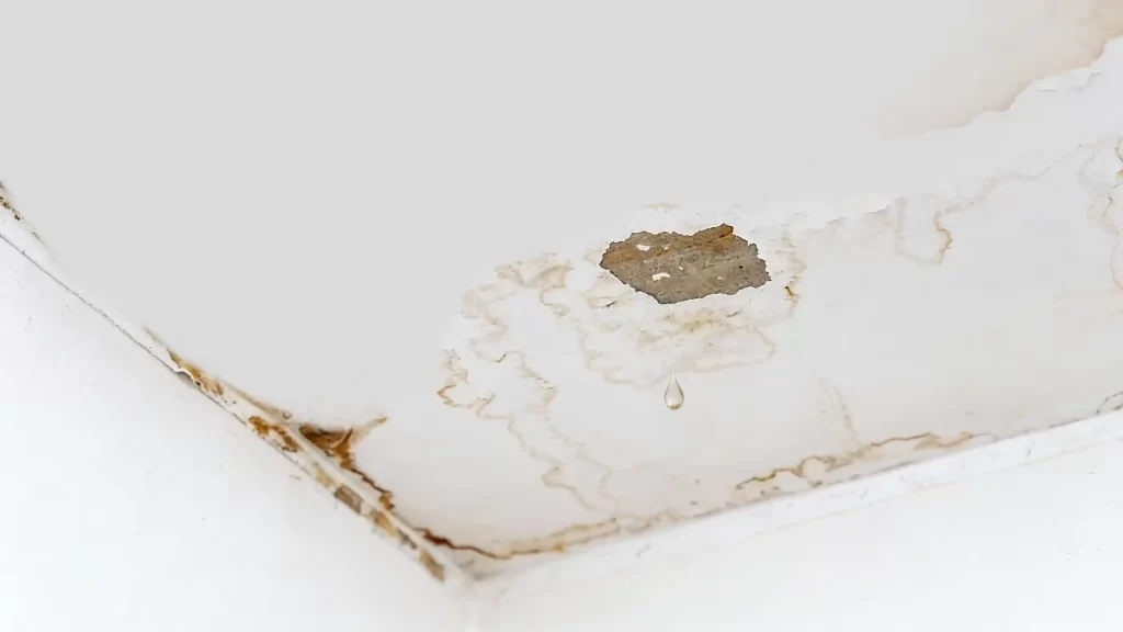 What causes leak in the ceiling