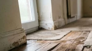 8. How Water Damage Affects Flooring Tile, Wood, and Carpet